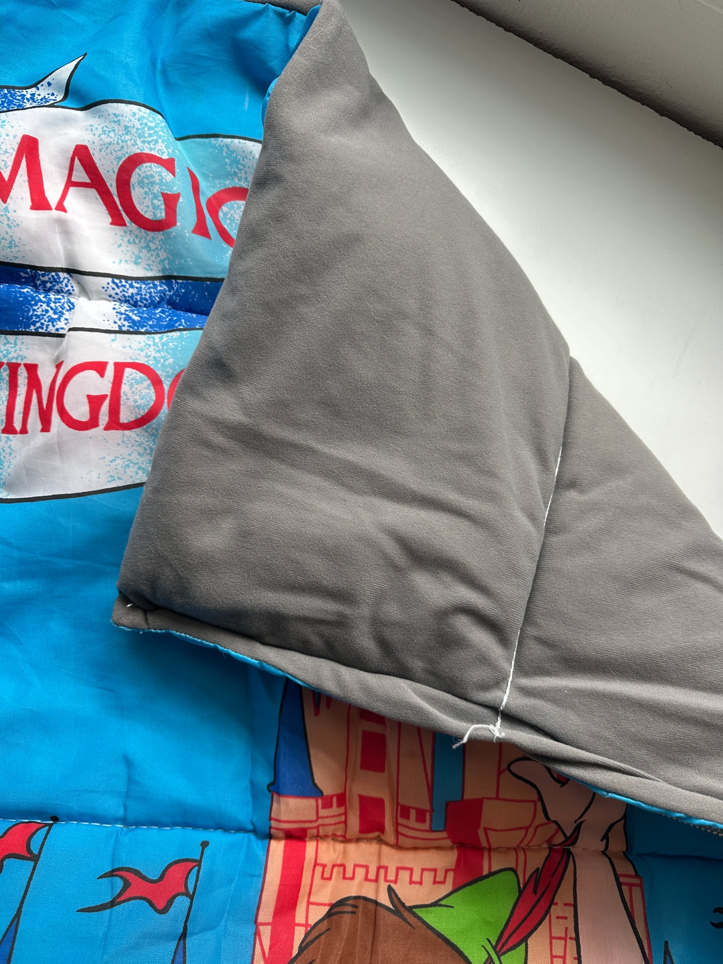 Magic Kingdom Sleeping Bag