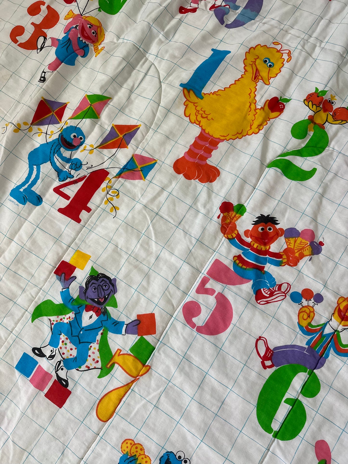 Sesame Street Twin Comforter (Double Sided)