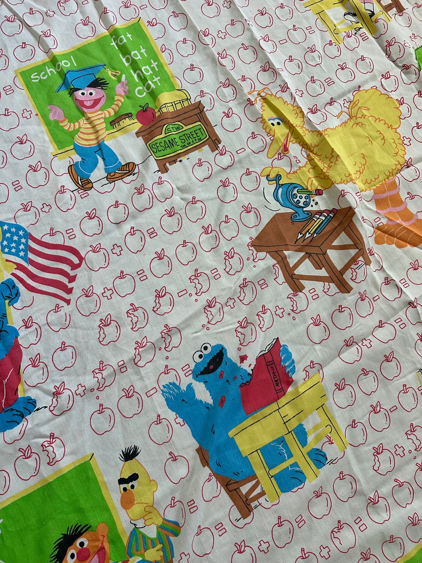 Sesame Street Twin Fitted Sheet 1