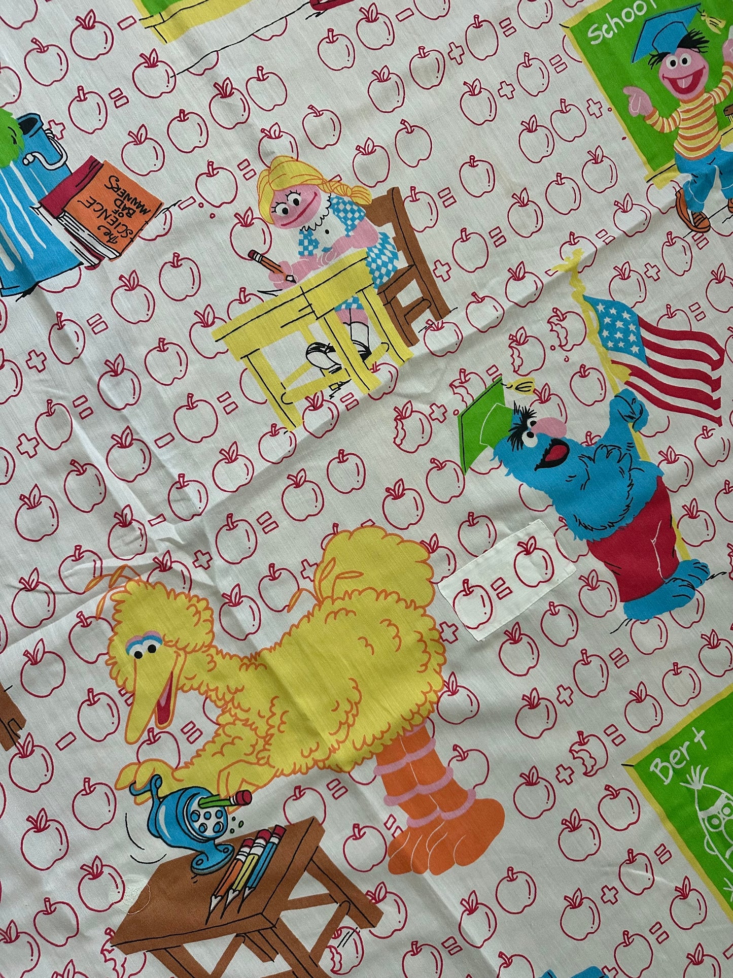 Sesame Street Twin Fitted Sheet 2