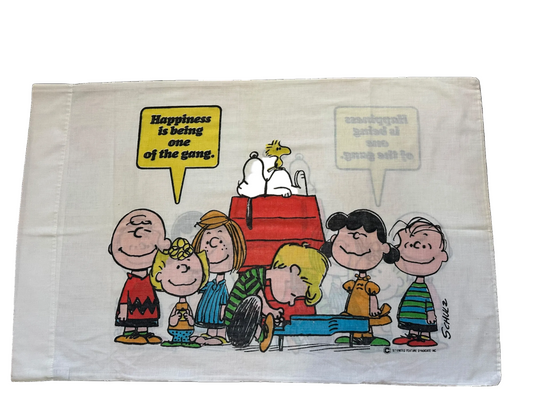 Peanuts Pillowcase 2